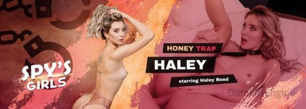 VRSpy: Haley Reed - Honey Trap Haley [Oculus Rift, Vive | SideBySide] [1920p]