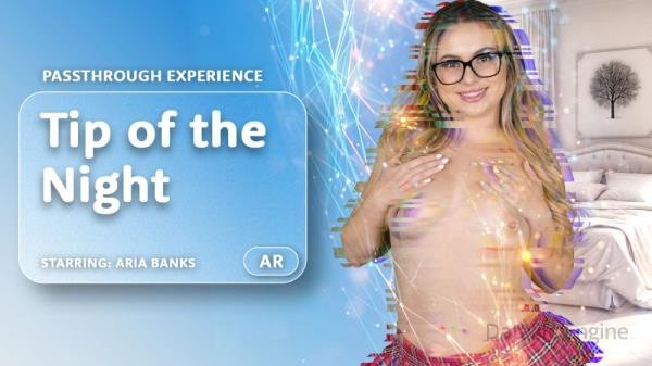 AR Porn, VRPorn: Aria Banks - Tip of the Night [Passthrough] [Oculus Rift, Vive | SideBySide] [4000p]